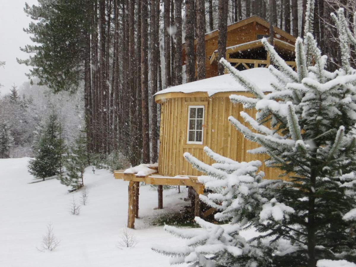 La Maison Sous Les Arbres Saint Roch de Mekinac Exteriér fotografie